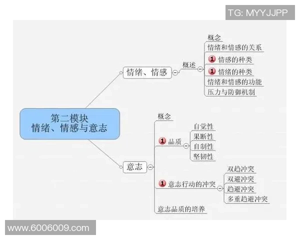 掌握情绪管理与止损策略在德扑之星实现持续盈利的心理秘诀