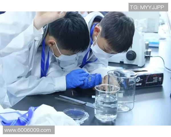 高净值客户的投注经纪服务新模式探索与实践分析